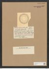 Campylodiscus horologium var. pfitzeri (A. Schm.) (de-Toni-Nr.: Genus 57, Species 2458) Zeichnungen Sammlung Grunow Nr. 4952 (NHMW-BOT-W0373171)